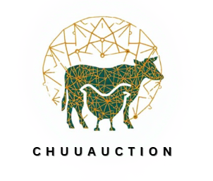 ChuuAuction Logo
